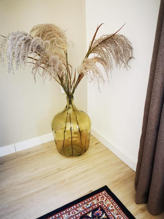 Vida Y Mar Apartamentos Пеньискола Экстерьер фото